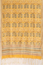 Load image into Gallery viewer, Natural Dye Block Print Cotton X Silk Stole