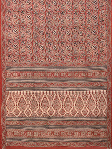 Natural Dye Block Print Cotton Sari