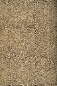 Natural Dye Block Print Cotton x Silk Fabric