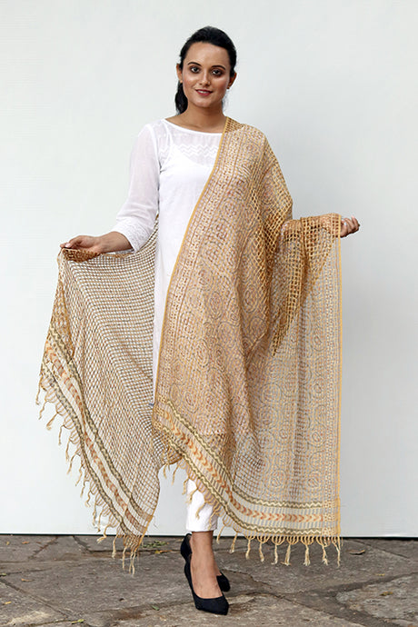 Natural Dye Block Print Filature Silk Dupatta - Creative Bee