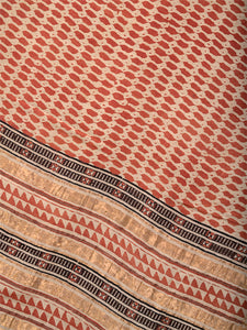 Natural Dye Block Print Tussar x Cotton Sari
